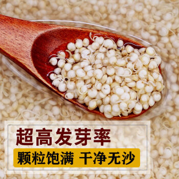 新白藜麦米青海高原一级白黎麦米藜麦米带胚芽宝宝藜麦米 白藜麦1斤
