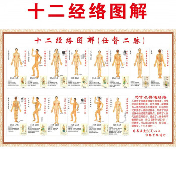 人体十二经络穴位图解任督二脉挂图中医养生穴位挂图海报 pp胶 48寸