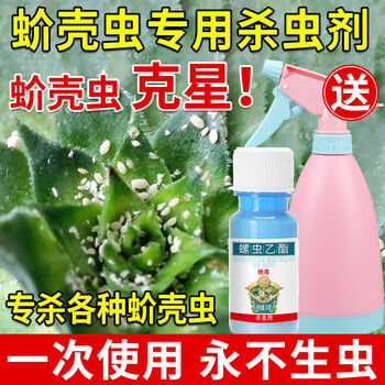 4%螺虫乙酯杀虫剂蚜虫红蜘蛛花卉果树蔬菜蚧壳虫药 蚧壳虫特效药20g