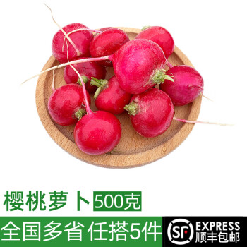 绿食者 新鲜樱桃萝卜500g 迷你小红萝卜西餐沙拉食材 健康轻食蔬菜