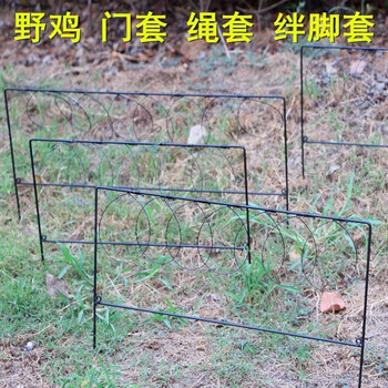 白面水鸡毛鸡扩音器绳套地套钢丝竹鸡门鸡绳套 7圈(10个)山鸡专用