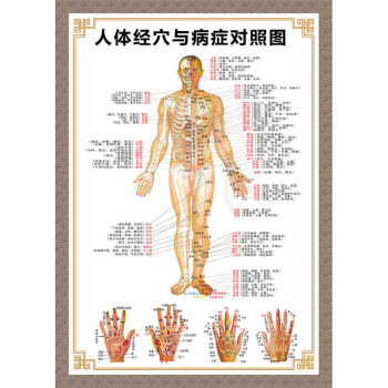 人体穴位图全身图中医针灸艾灸拔罐养生十二经络穴位海报大挂图病症