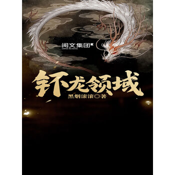 钚龙领域十