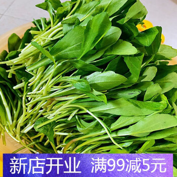 春季头茬马兰头红梗菜山坡野菜鸡儿肠春季野菜现割现发尝鲜一斤装