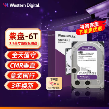西部数据（WD） 紫盘  SATA接口  安防录像监控录像机 CMR垂直 3.5英寸台式机械硬盘 6TB 紫盘【WD63EJRX】