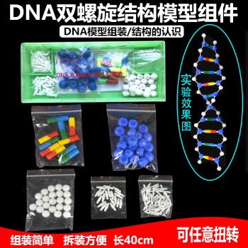 幼儿美术模型面具教案_3dmax2009 客厅模型下载模型天下_模型制作教案下载