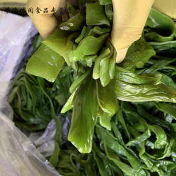 盐渍海白菜裙带菜裙带梗海带裙带梗半干货海裙菜海芹菜1斤试吃