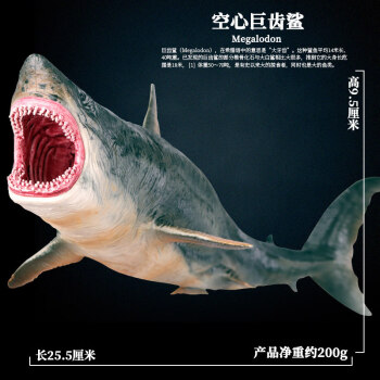 oenux仿真大白鲨海洋动物模型玩具巨齿鲨虎鲨虎鲸鲨鱼
