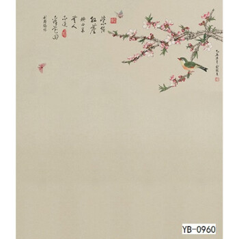 影楼拍摄背景布儿童拍照摄影主播直播古装中国风全家福古风背景纸 浅