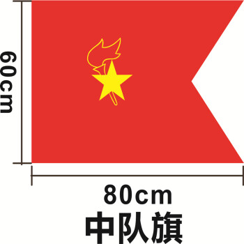 少先队队旗手持中国少年先锋队旗中队旗手拿小学生少先队员大队中队