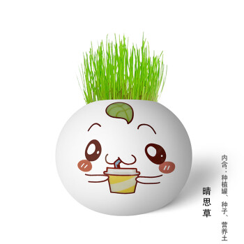 小盆栽室内盆景可爱娃娃绿植花卉桌面小摆件深灰色饮料君晴思草含盆