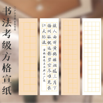 泾鼎毛笔字书法作品纸专用考级纸写毛笔字纸初学者宣纸四尺对开书法