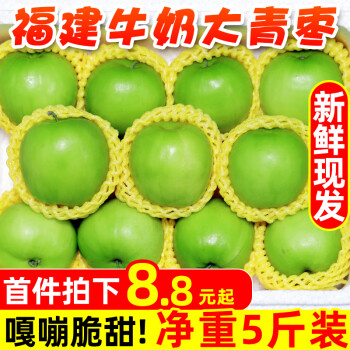 福建大青枣牛奶枣水果5斤新鲜当季枣子品种冬枣整箱鲜甜脆枣2300g中果