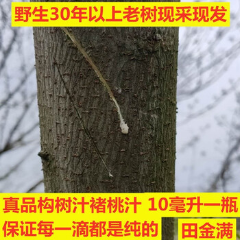 有仁堂新鲜构树汁液楮桃树汁液构树汁褚树原汁加冰冷藏发货10克构树汁