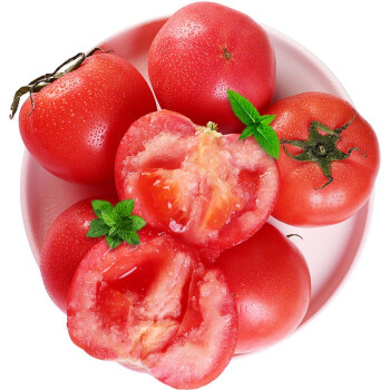 彩云城山东海阳西红柿沙瓤新鲜生吃番茄46斤