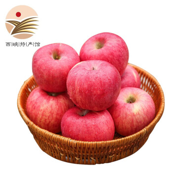 静益乐源洛川红富士苹果 陕西洛川富士苹果 新鲜水果 净重4.5-5斤大果果径80mm+