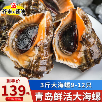  海宏盈【活鲜】 青岛大海螺鲜活 1500g 海鲜贝类生鲜 特大规格共9-12只 1500g