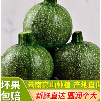 圆西葫芦新鲜蔬菜圆小瓜当季蔬菜三月瓜农家自种现摘现发西葫芦瓜3斤