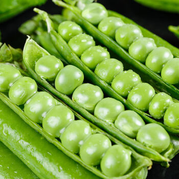 爵妃现摘现发云南新鲜豌豆带壳豌豆荚农家蔬菜青豌豆甜青豆豆荚现摘3