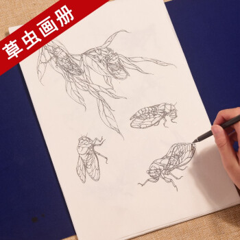 臻言工笔画白描底稿白描画稿草虫画册蝈蝈螳螂天牛蜻蜓临摹初学者入门