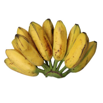 新鲜大蕉芭蕉plantain新鲜水果无催熟剂香蕉35斤3斤