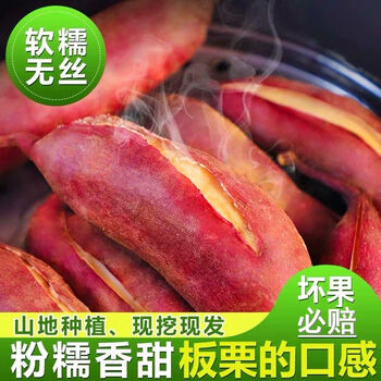 10斤现挖农家新鲜红薯软糯香甜白心板栗番薯210斤5斤中果