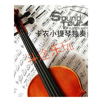 摇滚卡农》摇滚小提琴伴奏小提琴演出伴奏独奏