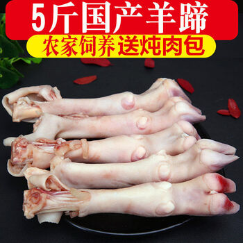 新鲜现杀羊蹄羔羊蹄山羊蹄羊脚带筋批发青封铭5斤现货速发