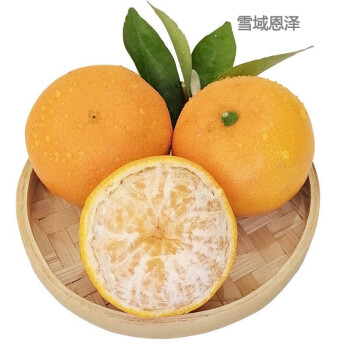 橘子无籽孕妇应季水果超甜非广西武鸣橙实惠包甜091无籽沃柑普通快递8