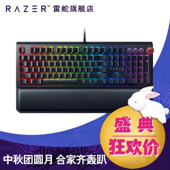 雷蛇（Razer）黑寡妇蜘蛛精英版 电竞游戏机械键盘 RGB背光 绝地求生吃鸡键盘 精英版-绿轴