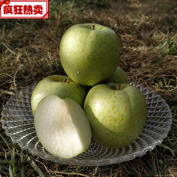 素界王林苹果新鲜青苹果日本青森脆甜绿平果时令孕妇水果应季5斤5斤