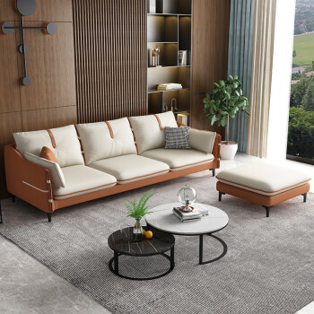 风之意沙发极简轻奢布艺沙发现代简约客厅三人小户型意式科技布沙发ms
