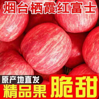 山东烟台栖霞红富士冰糖心苹果3斤5斤10斤装精品红富士连箱10斤小果