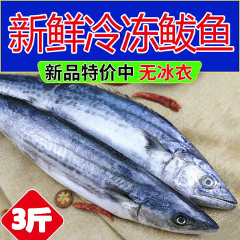 顺丰直达青岛大鲅鱼新鲜冷冻鲜活燕鲅鱼大马鲛鱼馅饺子深海鱼诺斯食美