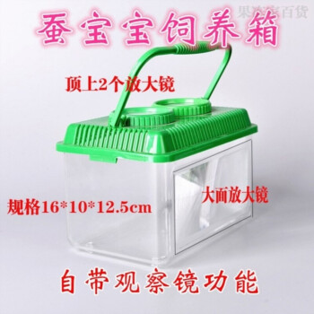 养蚕的盒子学生养蚕盒蚕宝宝别墅小型的房子宠物盒子简易大号用具装