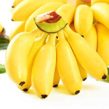广西香蕉新鲜小米蕉新鲜水果生鲜小米蕉5斤