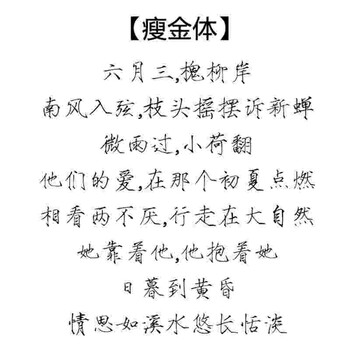 撒野语录歌词字帖撒野周边成人硬笔瘦金体行楷