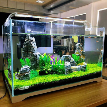 森森(sunsun)鱼缸生态小型超白玻璃水族箱桌面金鱼缸客厅中型鱼缸水草