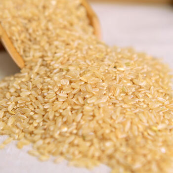 糙米5斤装杂粮米粗粮胚芽糙米饭五谷杂粮饭健身餐糟米