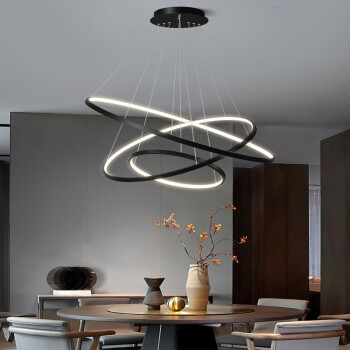 乐兴艺餐厅灯圆形吊灯现代简约个性创意环形客厅灯大气家用饭厅灯北欧