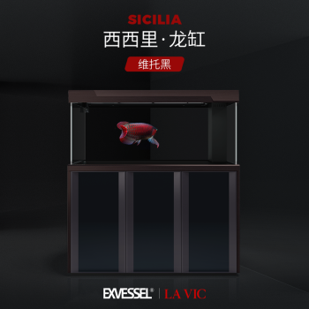 exvessel久鼎水族鱼缸高端时尚别墅大宅高端定制lavic系列西西里龙魟