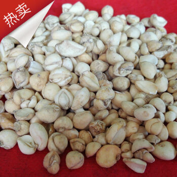 西藏贝母100克藏青贝炉贝芝母乌花贝松贝川贝藏贝母