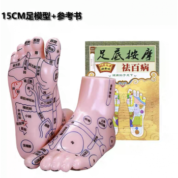 区脚模型超清晰穴位按摩器足疗点穴棒家用15cm高清足模型足按摩参考书