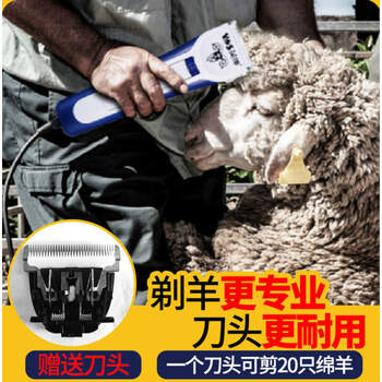 电推剪专业大功率剃羊毛推子马大型犬泰迪金毛狗毛剃毛器蓝色款羊毛剪
