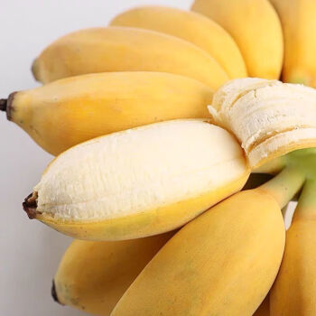 苹果蕉是香蕉还是芭蕉 (苹果蕉和香蕉哪个营养价值高)