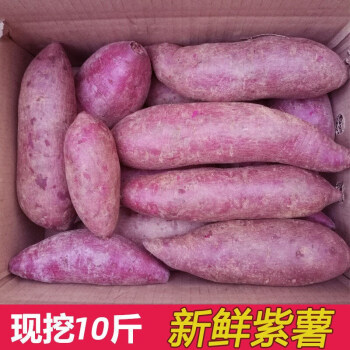 紫薯10斤现挖新鲜农家自种红薯沙地小香甜粉糯超值优选大紫薯