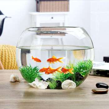 透明玻璃鱼缸客厅家用圆球鱼缸小型金鱼缸免换水懒人办公桌创意缸6