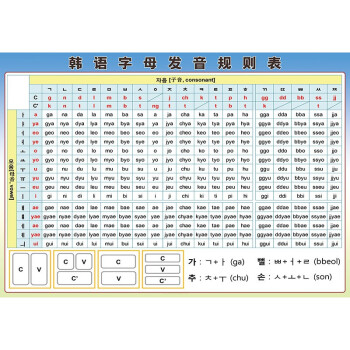 c款韩语发音规则 100x70厘米