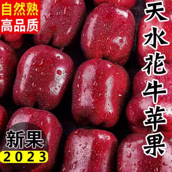  晓筱农场甘肃天水花牛苹果 4.5-5斤装单果100-150g苹果 新鲜水果 产地直发