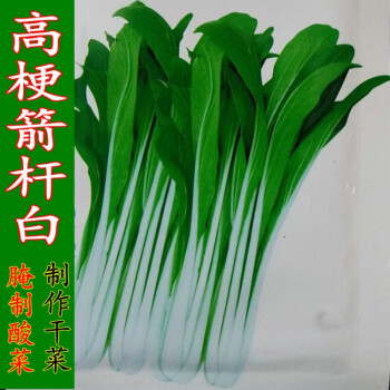 高梗青长杆小白菜种子高杆青菜种籽腌制酸菜籽汤白菜蔬菜种上海青 高